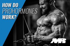 How Do Prohormones Work?