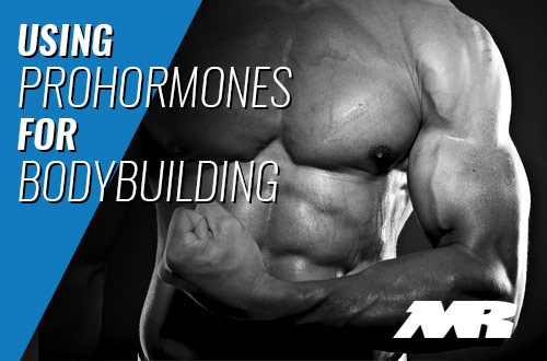 Using Prohormones for Bodybuilding Support