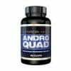 Andro Quad - Image 2