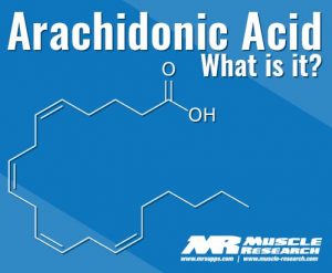 arachidonic Acid