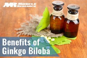 benefits Of Ginkgo Biloba