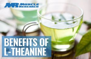 benefits Of L Theanine