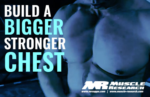 building A Bigger Stronger Chest