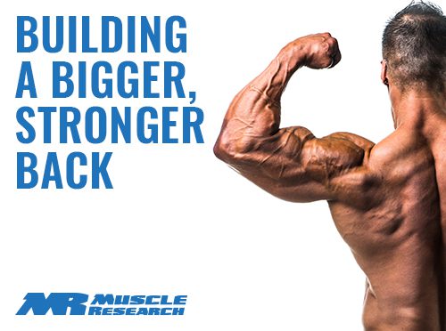 building Bigger Stronger Back