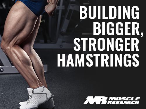 building Bigger Stronger Hamstrings