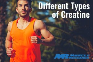 Types Of Creatine