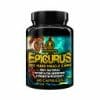 Epicurus - Image 2