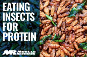 Future of Protein