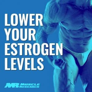 lower Estrtogen in Men