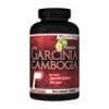 Garcinia Cambogia - Image 2