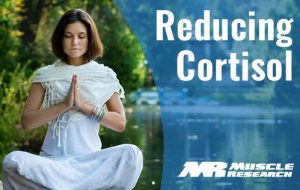 reducing Cortisol