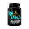 Spartan Shield - Image 2