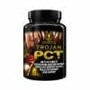 Trojan PCT - Image 2