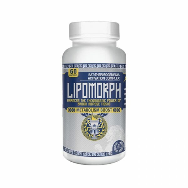 lipoMorph