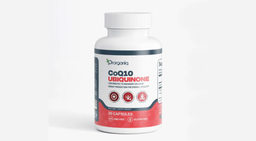 when to take coq10 morning or night
