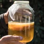should you drink kombucha on an empty stomach