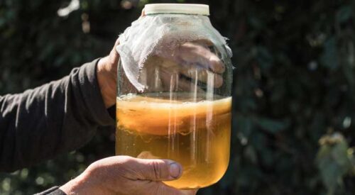 should you drink kombucha on an empty stomach