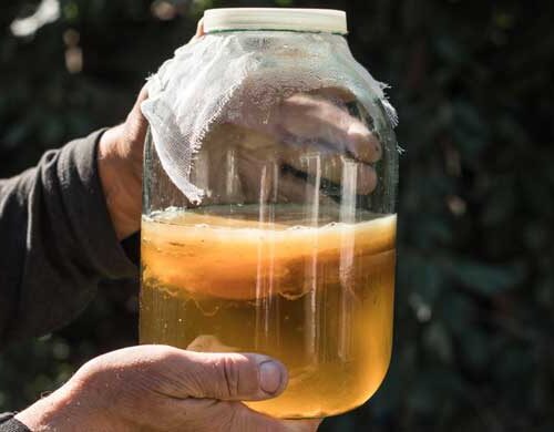 should you drink kombucha on an empty stomach