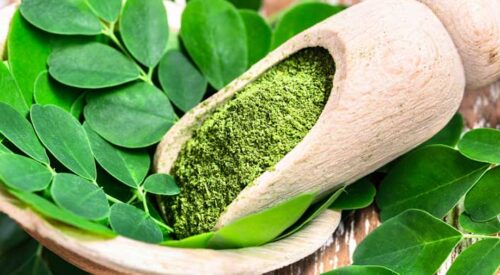 when is the best time to take moringa