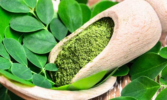 when is the best time to take moringa