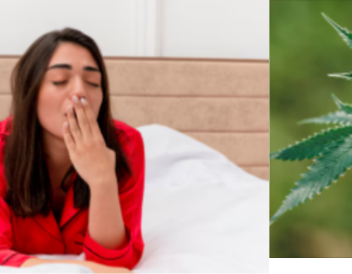 Does Sativa Make You Sleepy