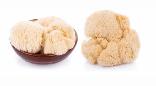 When to Take Lion’s Mane