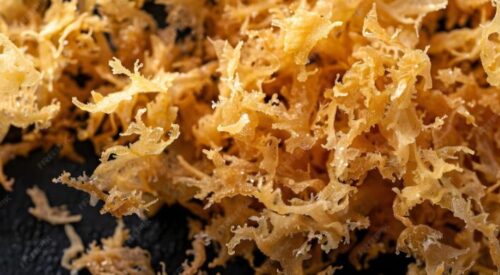 When Is the Best Time to Take Sea Moss?