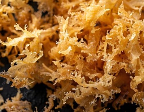 When Is the Best Time to Take Sea Moss?