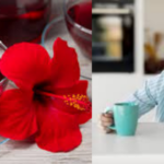 Does Hibiscus Tea Make You Sleepy