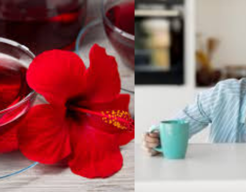 Does Hibiscus Tea Make You Sleepy