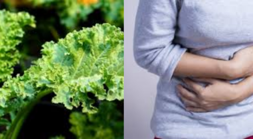 Does Kale Make You Gassy