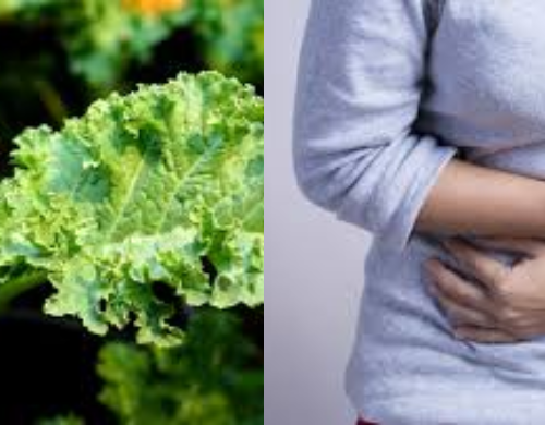 Does Kale Make You Gassy
