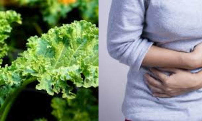 Does Kale Make You Gassy